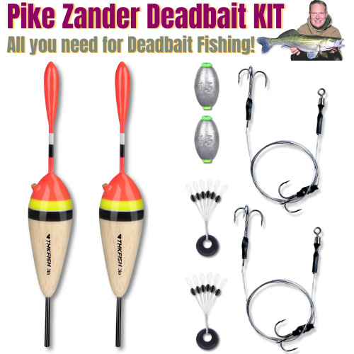 Dead bait pike - zander, perch